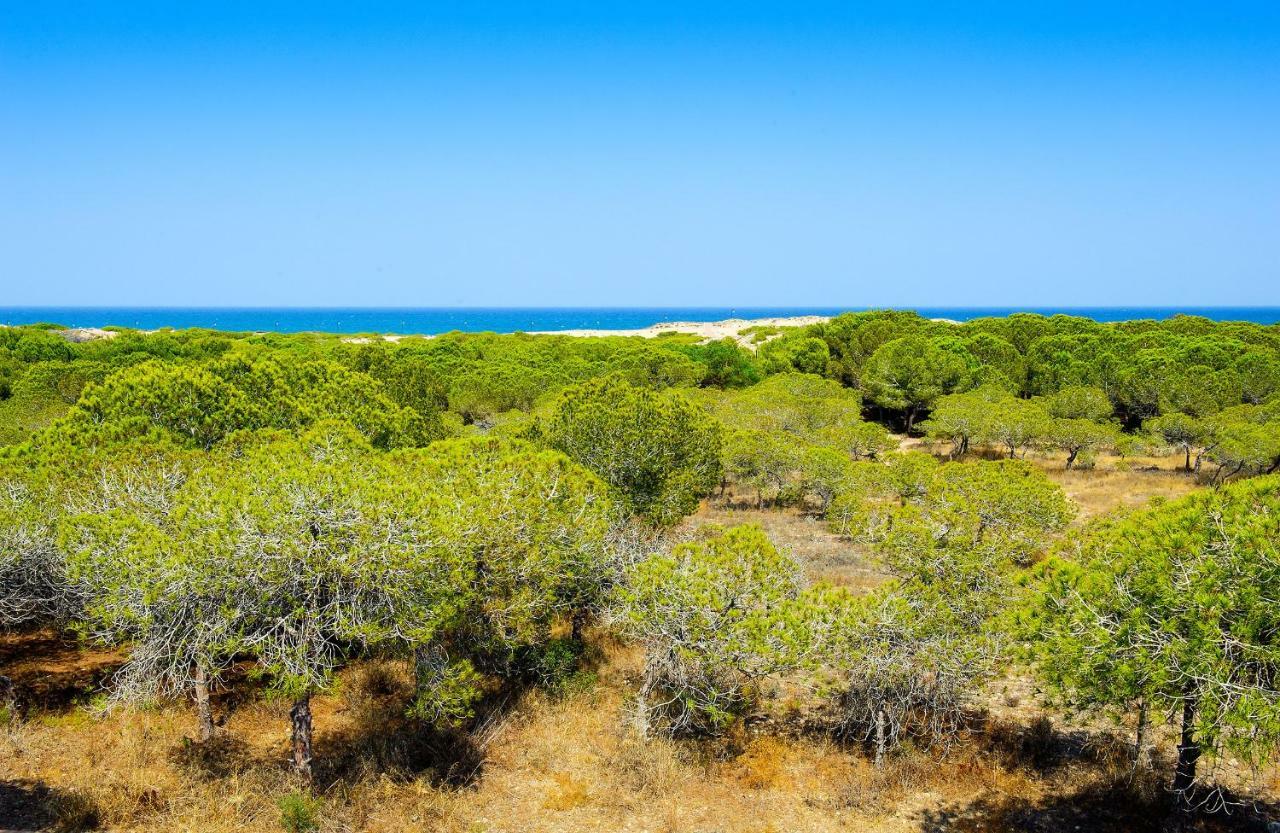 לה מאטה Luxury Pinada Beach מראה חיצוני תמונה